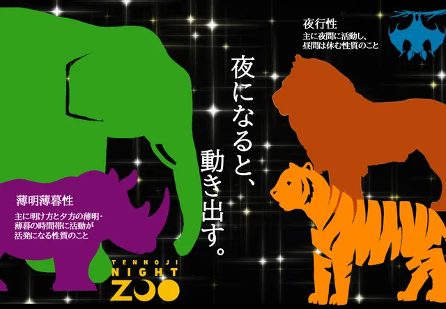 天王寺動物園「2026 ナイトZOO」は10月の週末に開催！夜の動物たちに会いに行こう